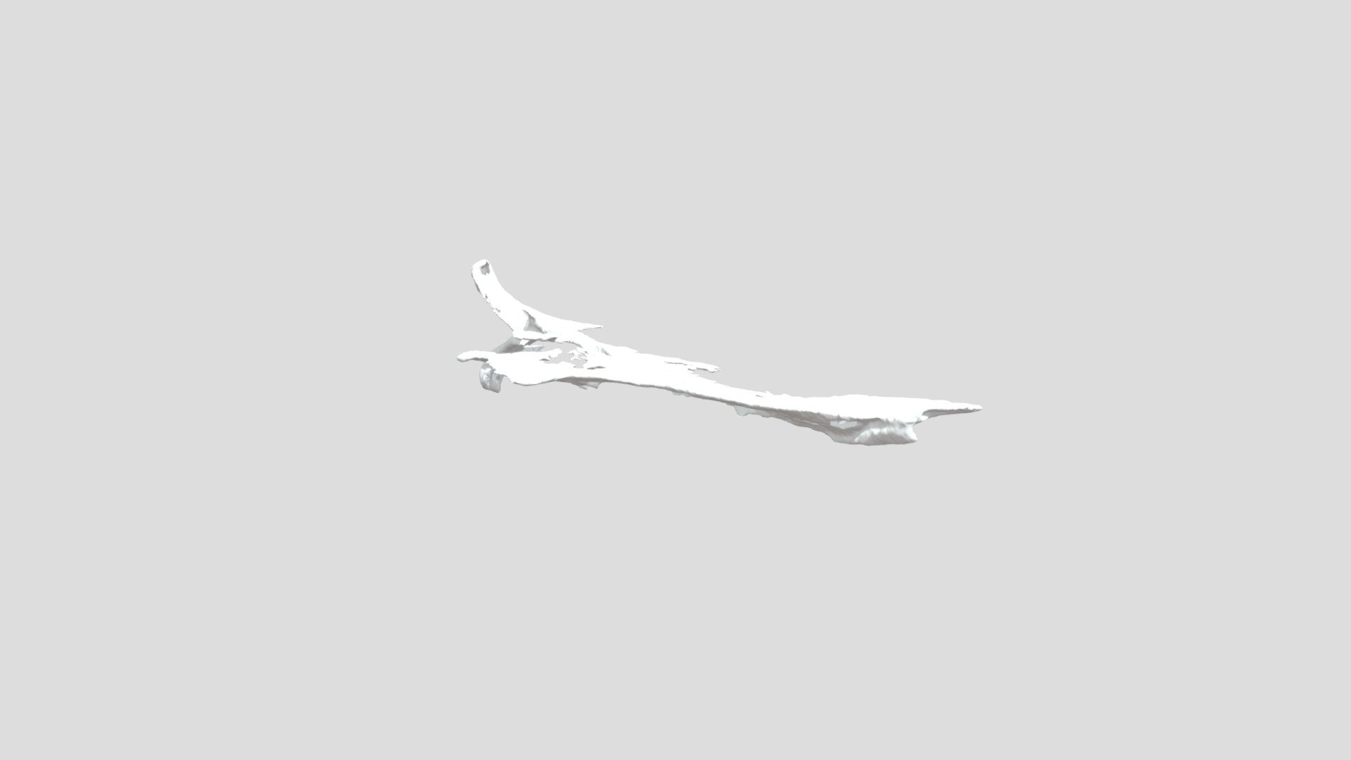 Vomer 3D model