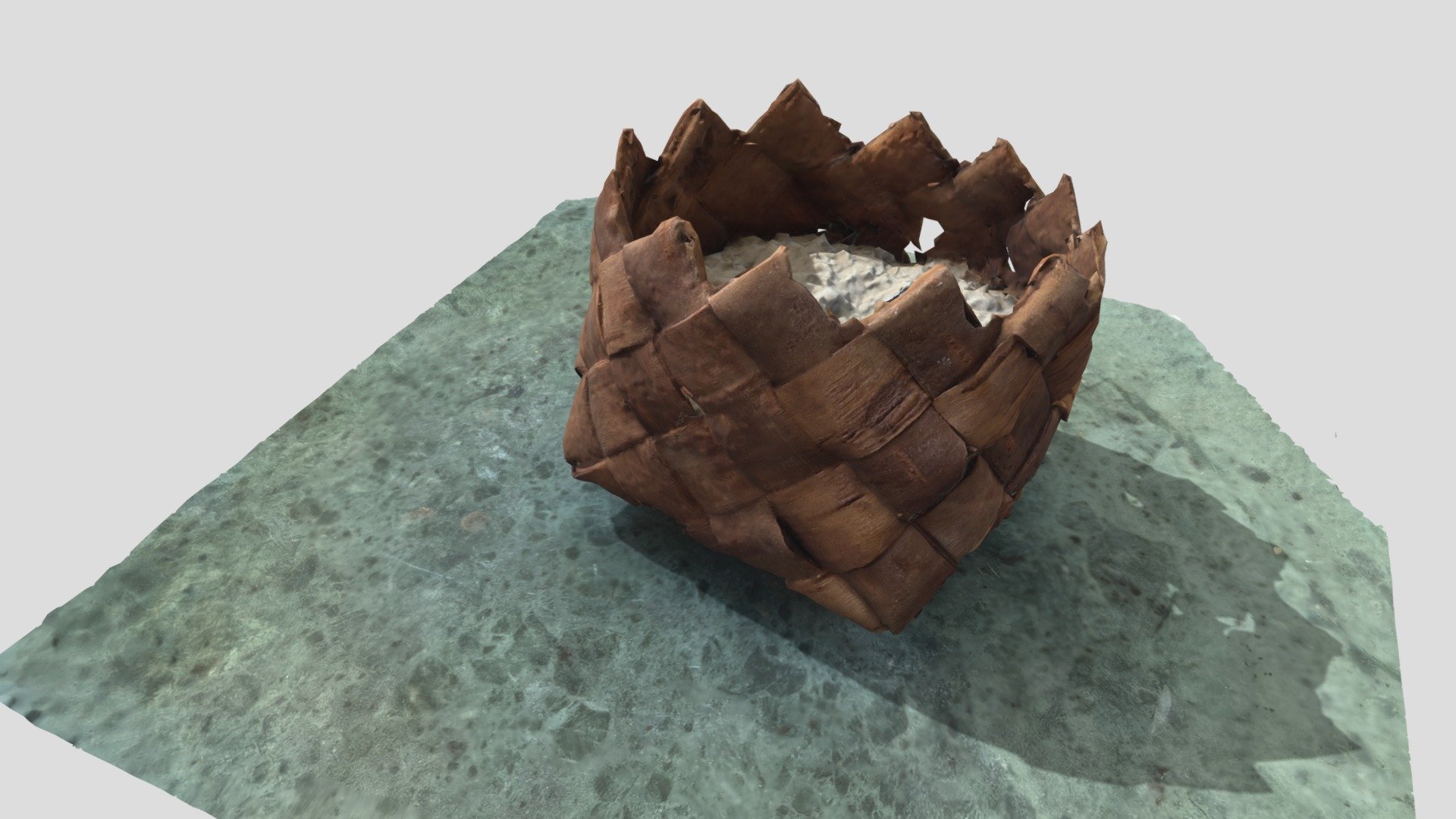 Broken birch bark