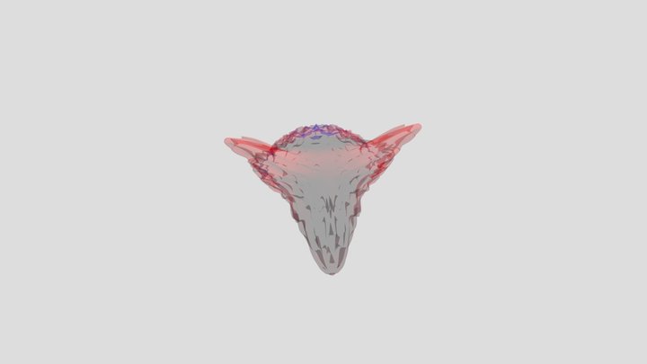 Craneo 3D Model