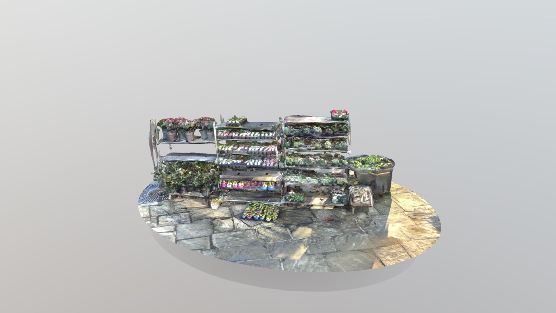 Thirsk Green Grocer Stall | 04.01.22