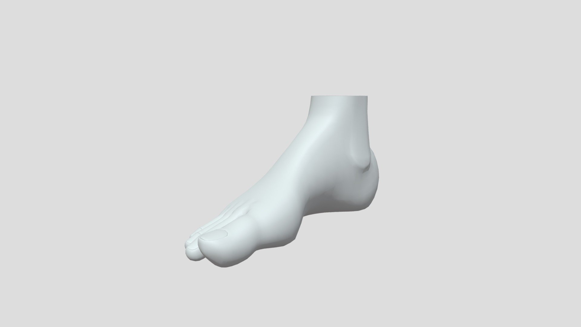 Feet Model - Buy Royalty Free 3D model by Magicman D ...