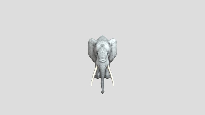 African Bush Elephant – Modello 3D gratuito STL