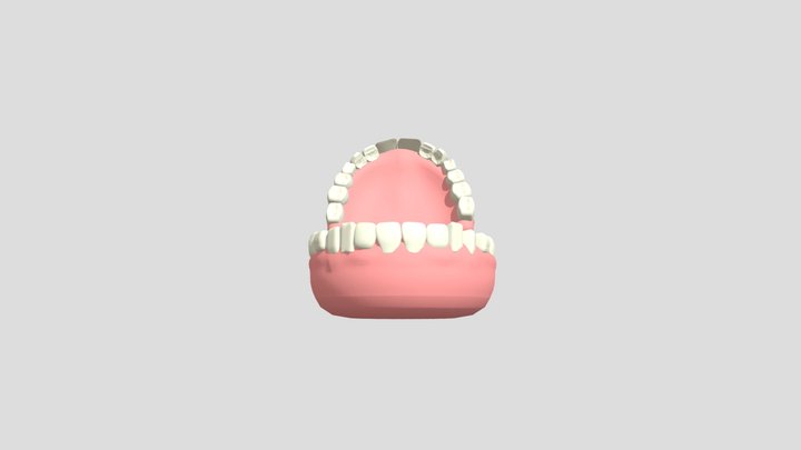 Mouth no rig 3D Model