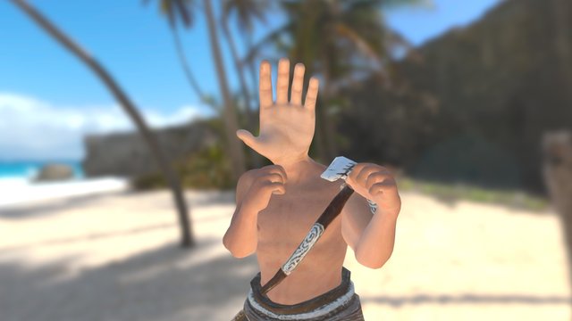 Hand to Hand Combat 3D Model