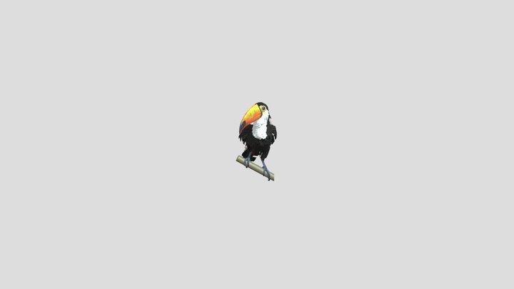 Toco_toucan (Credits: NestaEric) 3D Model