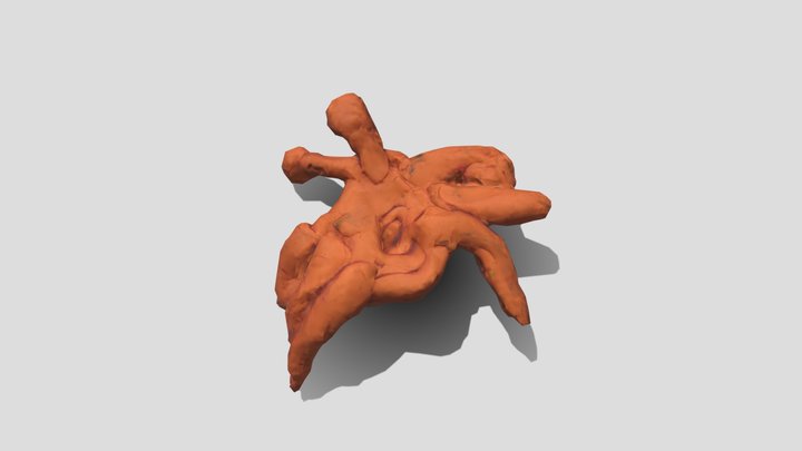 Crab 3D Model
