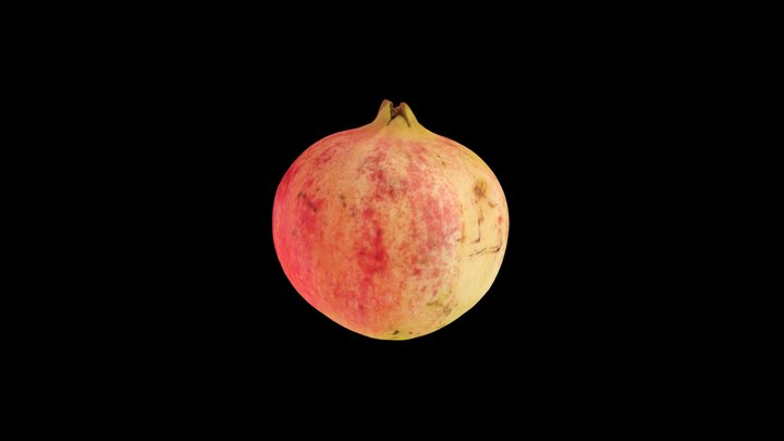 pomegranate 3D Model