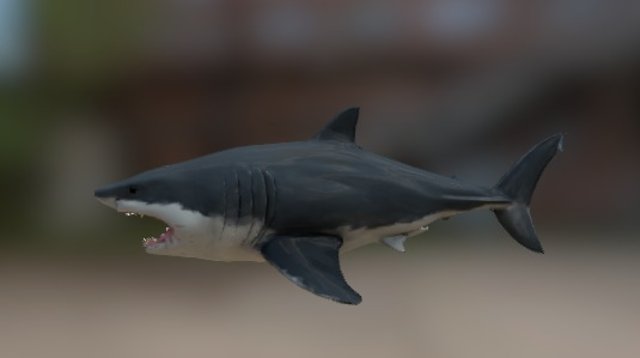 Great White 3D Model