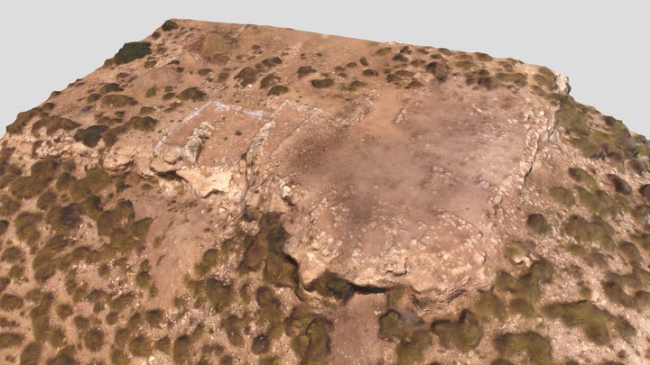Primera toma 3D Model