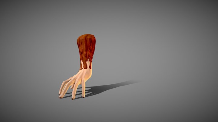 Candle Hand Rigged 3D Model