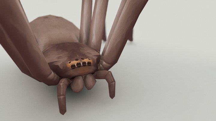 Huntsman spider 3D Model
