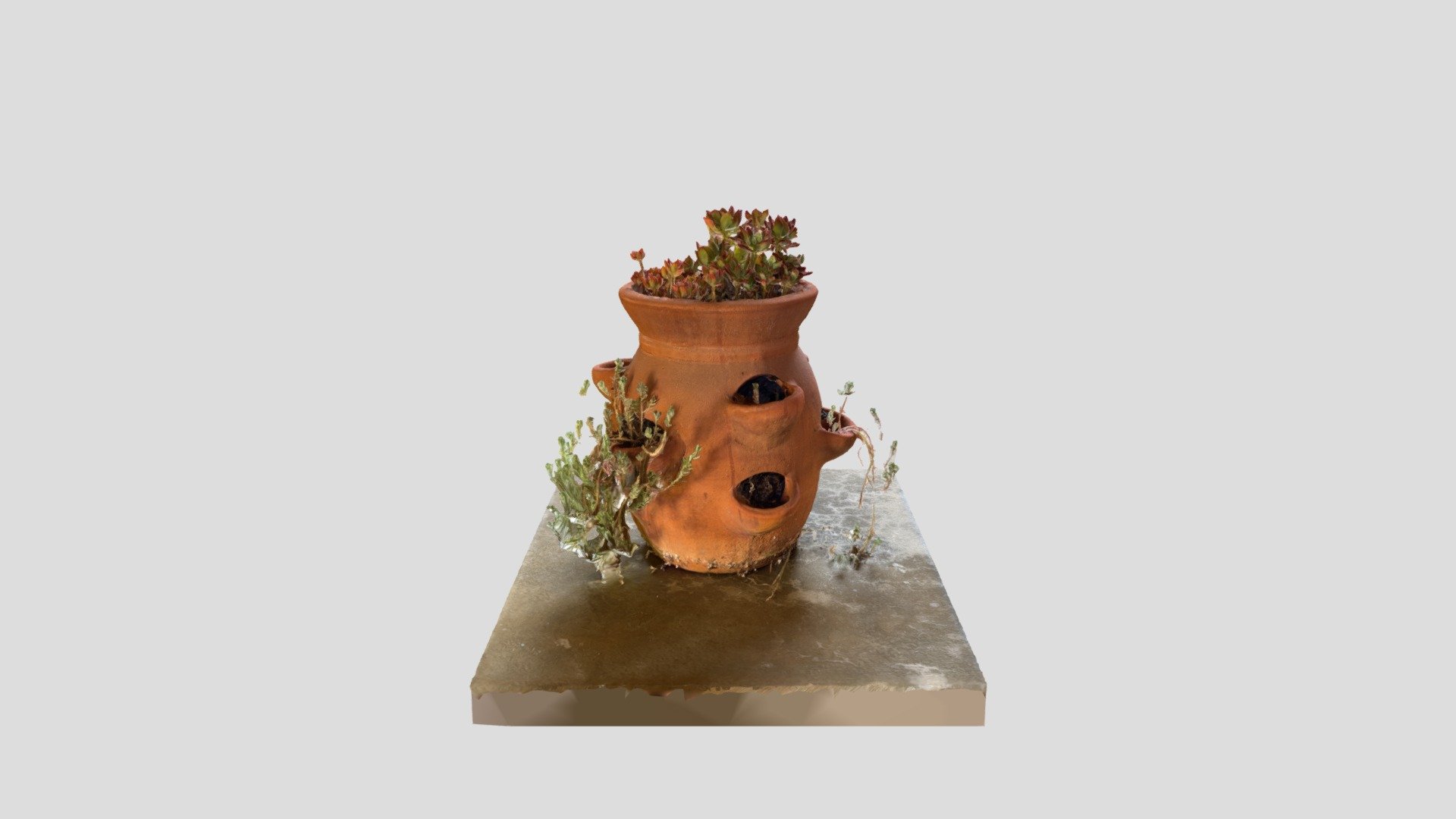 Garden Pot