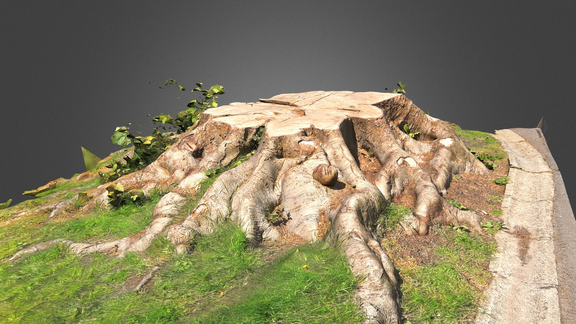 CUT TRUNK