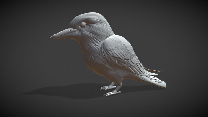 Kookaburra 3D Model