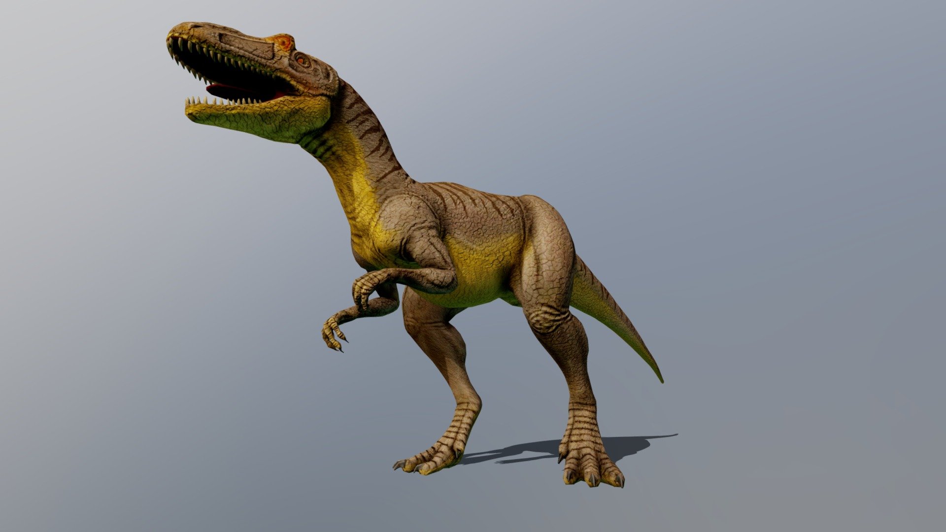 Allosaurus - 3D model by Sergei Vasilyeu (@uglianitsa) [dd99187 ...