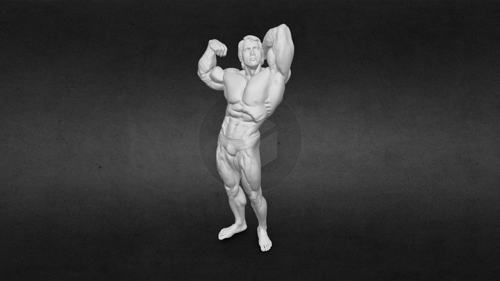 arnold_low_poly 3D Model