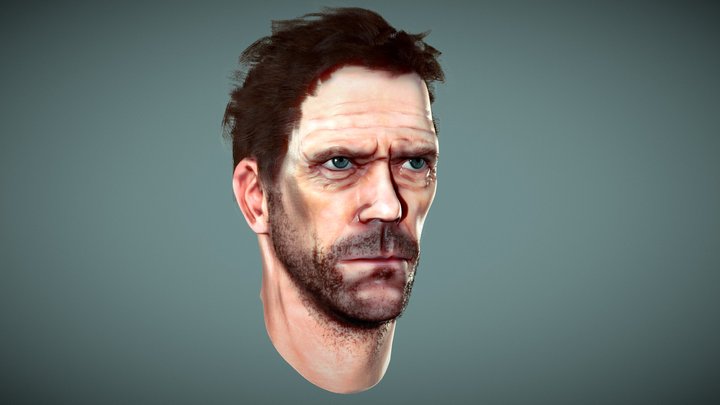 Hugh Laurie 3D Model