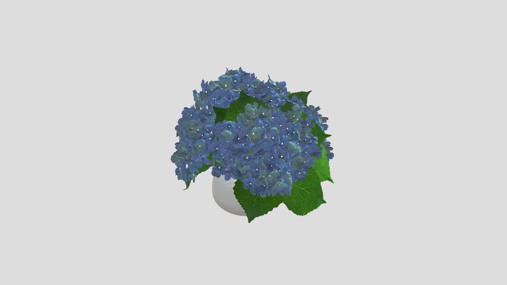 Blue Hydrangea Vase