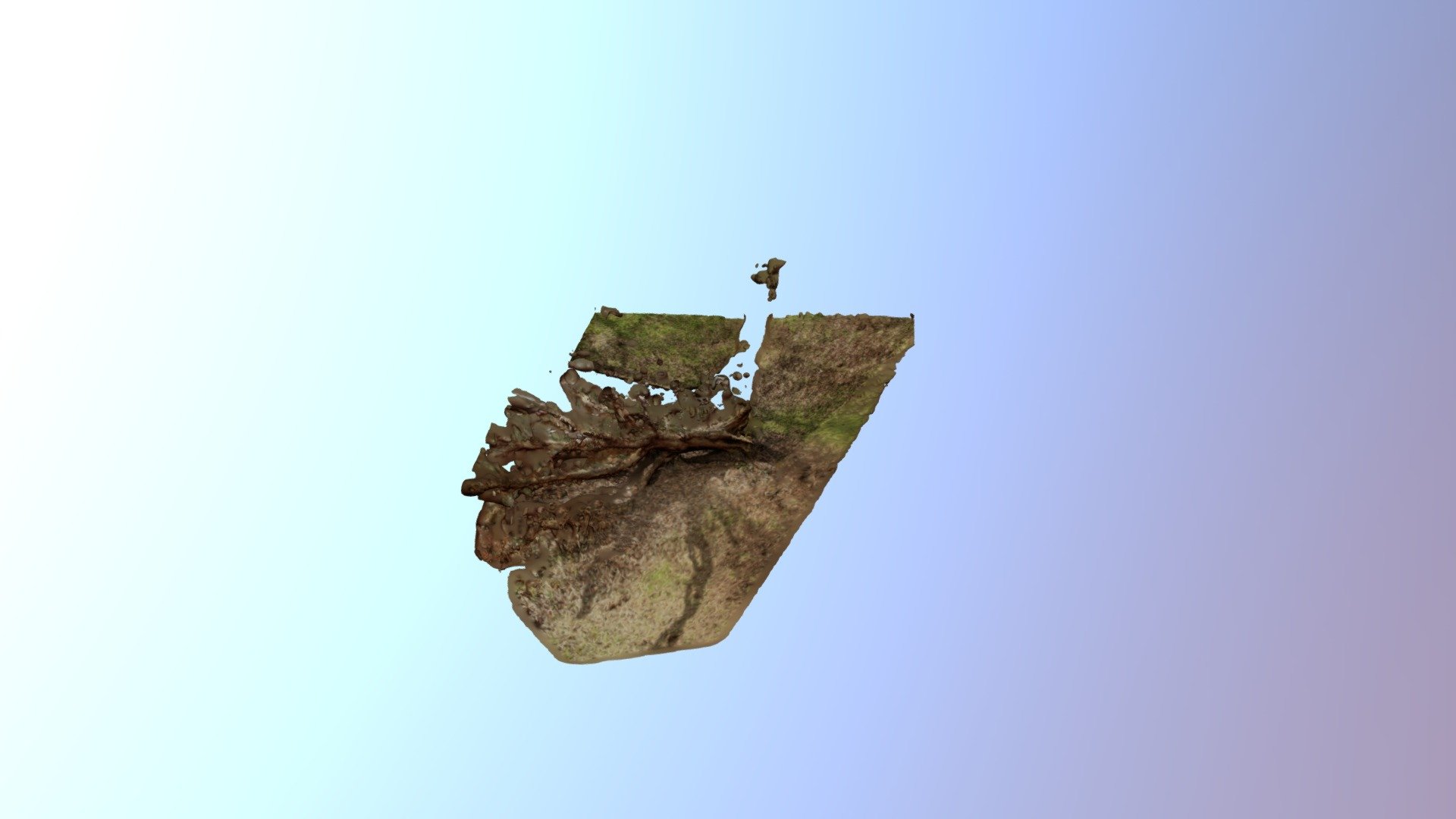 Texture Model