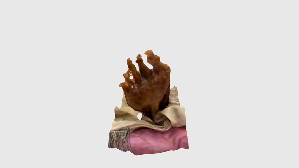 La Specola Anatomical