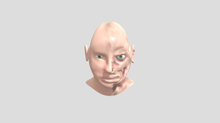 Portret-Paint 3D Model
