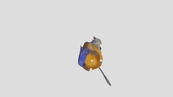 Mimagnífico modelo 3D 3D Model