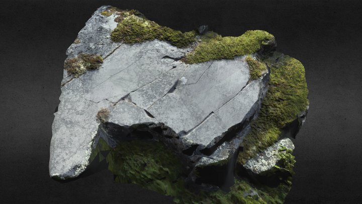 Alta Rock Art: Ole Pedersen 12 3D Model