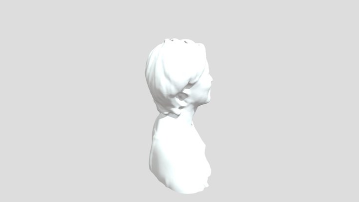 3D digital body printing 3D Model