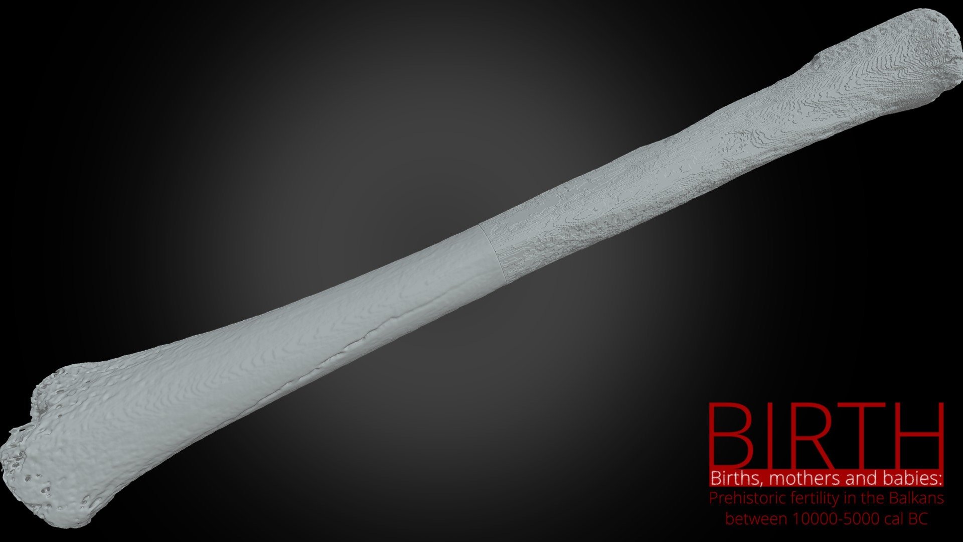Grave 103_right_radial bone_HighPoly