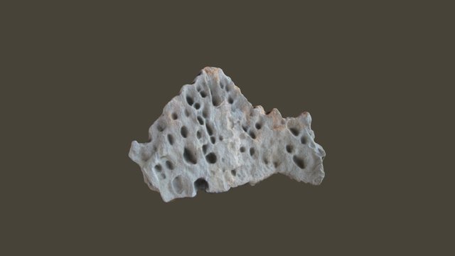 Tafoni, Malmesbury turbidites, South Africa 3D Model