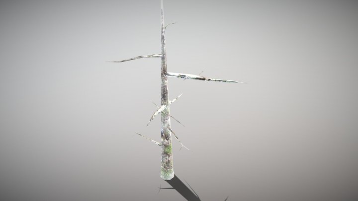 PSX-Style Tree (Snow) Version 1 3D Model