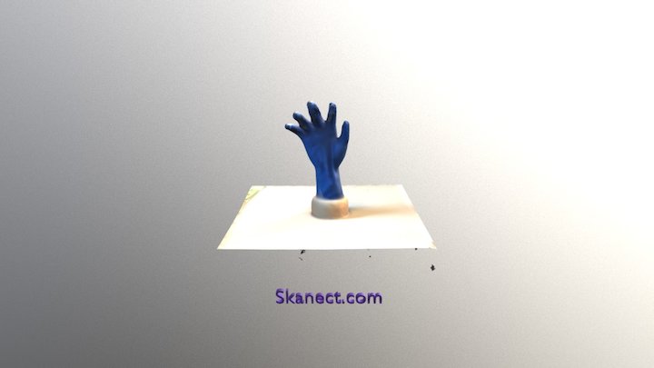 The Claw (Skanect) 3D Model