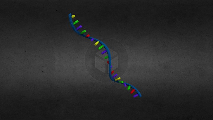 RNA – Modello 3D gratuito STL