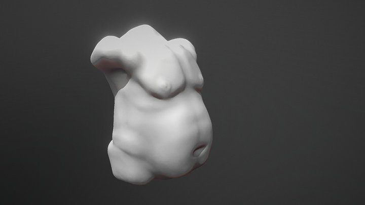 Fat torso 3D Model