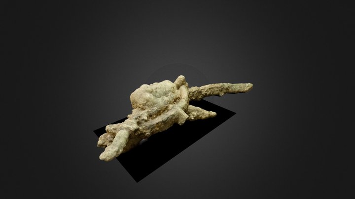 Crossbow Conglomerate 3D Model
