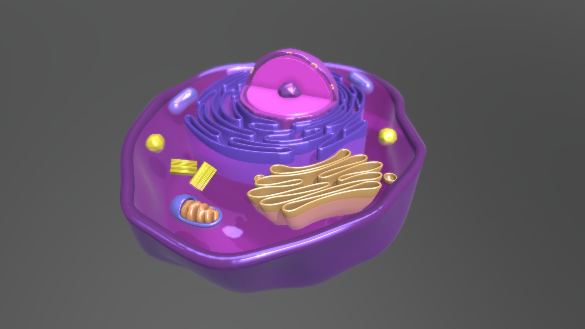 Animal Cell Downloadable Download Free 3D Model By Lauri Purhonen 