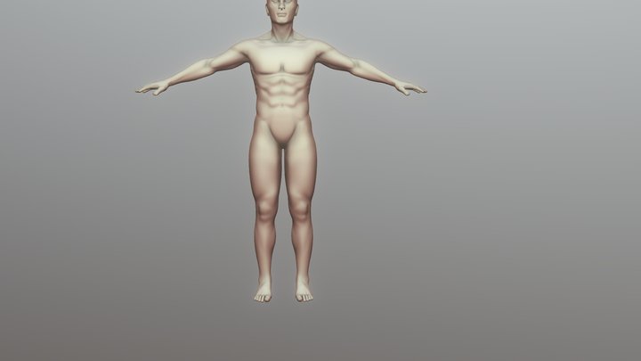 Human body 3D Model