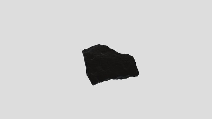 Stn4_ Mesh Lab_ Potsherd_in.STL 3D Model