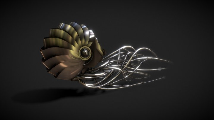 Nautilus Concept 3D Model
