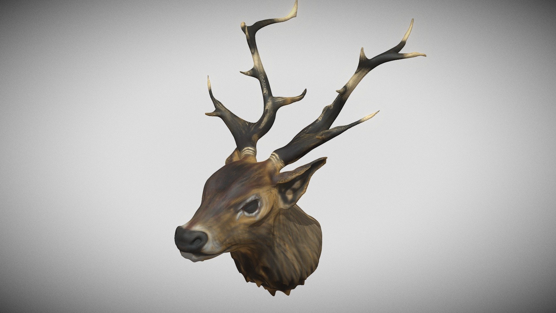 Stag Head - Download Free 3D model by fieldworks [ddc7166] - Sketchfab