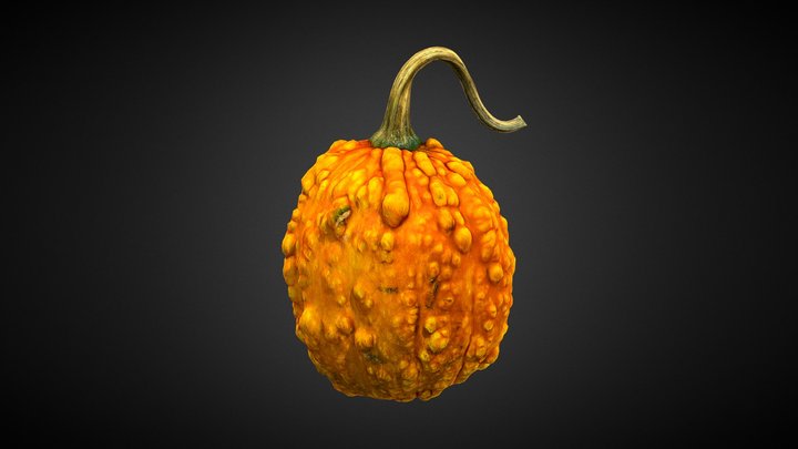Calabaza lowpoly 3D Model