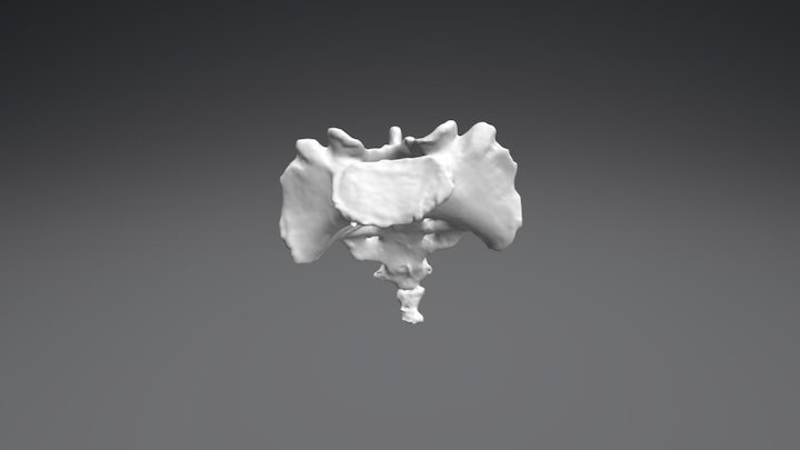 Sacro 3D Model