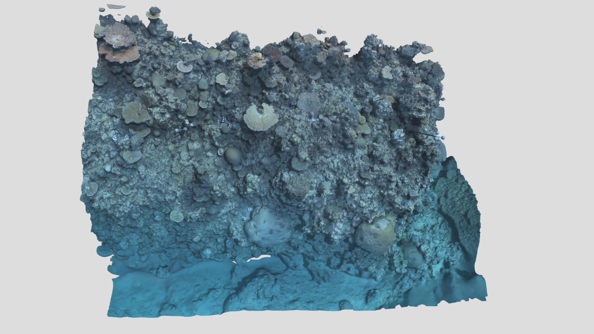 Davies_BA2S_P1_202301 - 3D model by EcoRRAP (@AIMSEcoRRAP) [ddcb08f ...