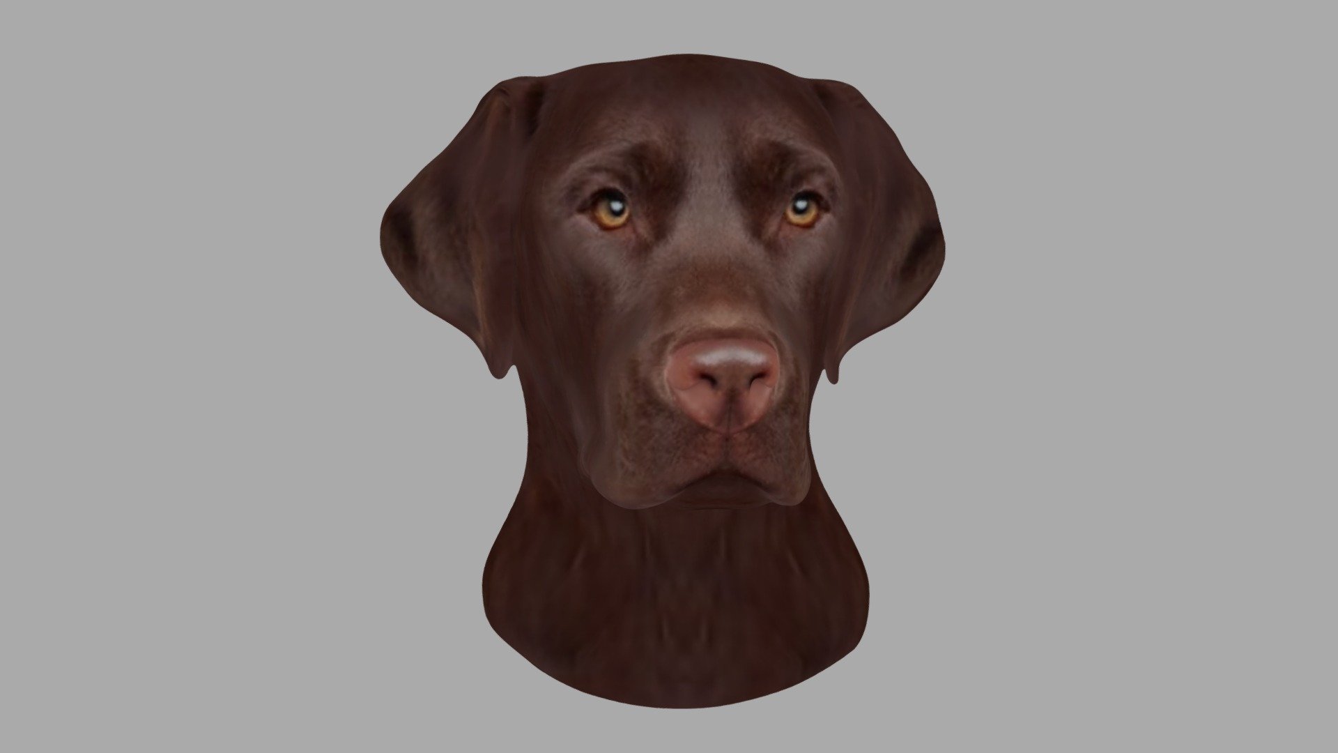 Printable Brown Labrador Head Reliëf 18 CM