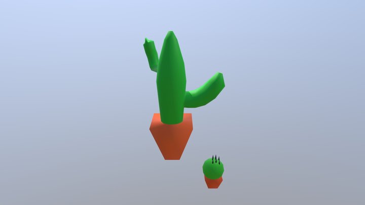 Cactus Raffadale 4 (1) 3D Model