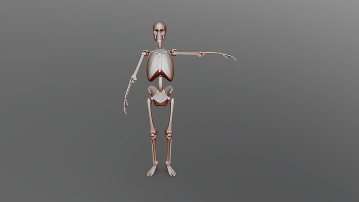 Skeleton Blockout 3D Model