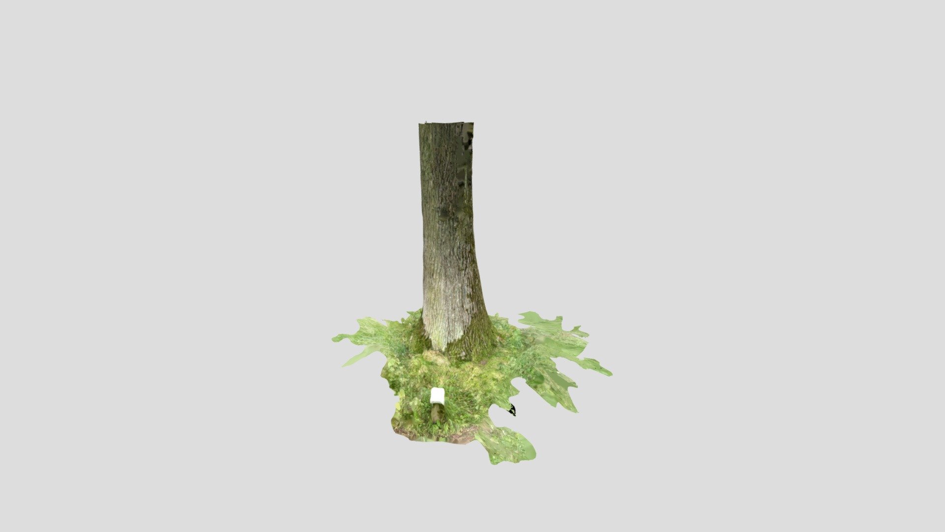 Trunk — Sketchfab embed 3D viewer