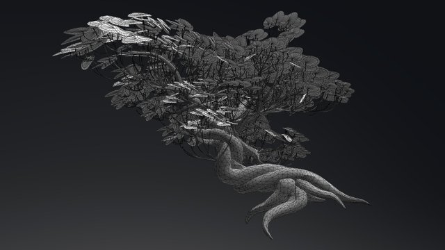 Turntable Spirit Tree 3D Model