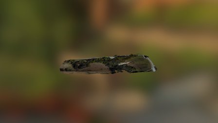 Test01 3D Model