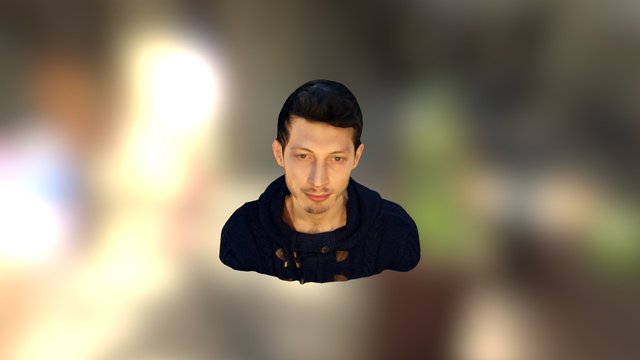 MS1 3D Model